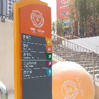 小学导视系统设计：以童为本，融安全与教育于环境